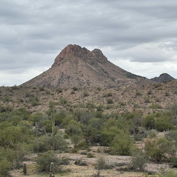 Unlisted items 2 - 01/09/26 - Picture 2 of 3